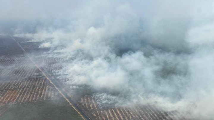 11 Ribu Lebih Titik Api Karhutla di Sumsel Sepanjang 2023
